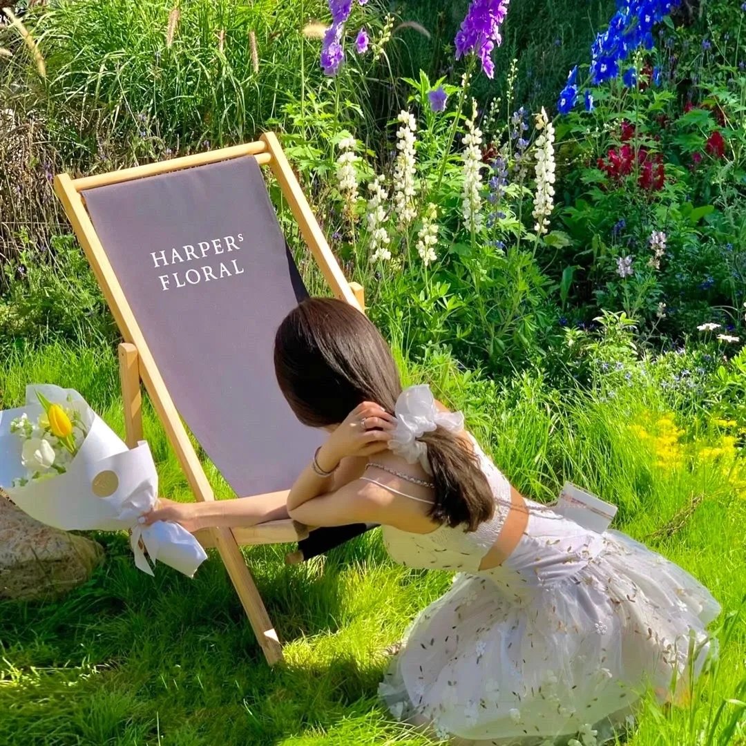 方世玉与乾隆皇粤语